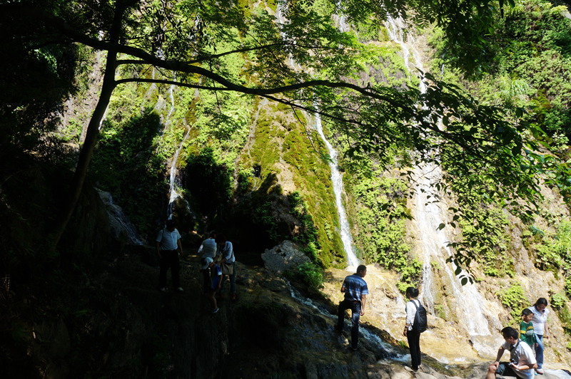 dsc02236_.jpg