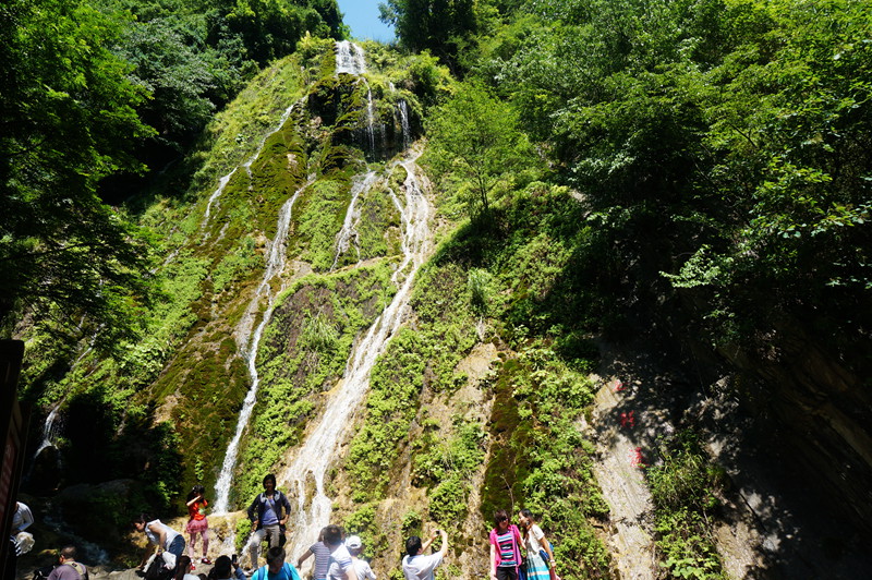 dsc02240_.jpg