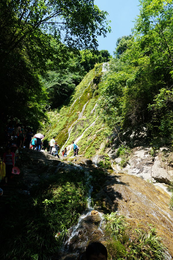 dsc02244_.jpg