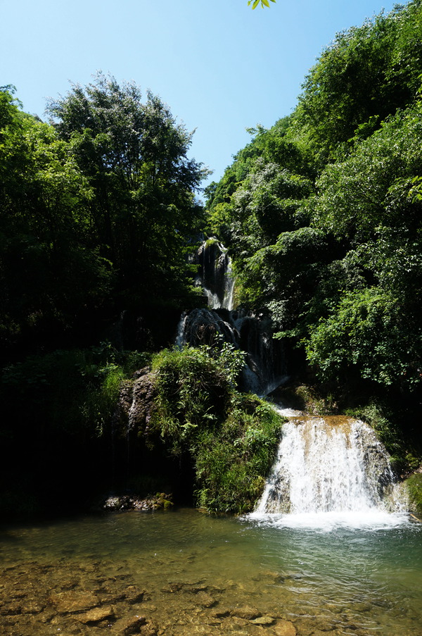 dsc02259_.jpg