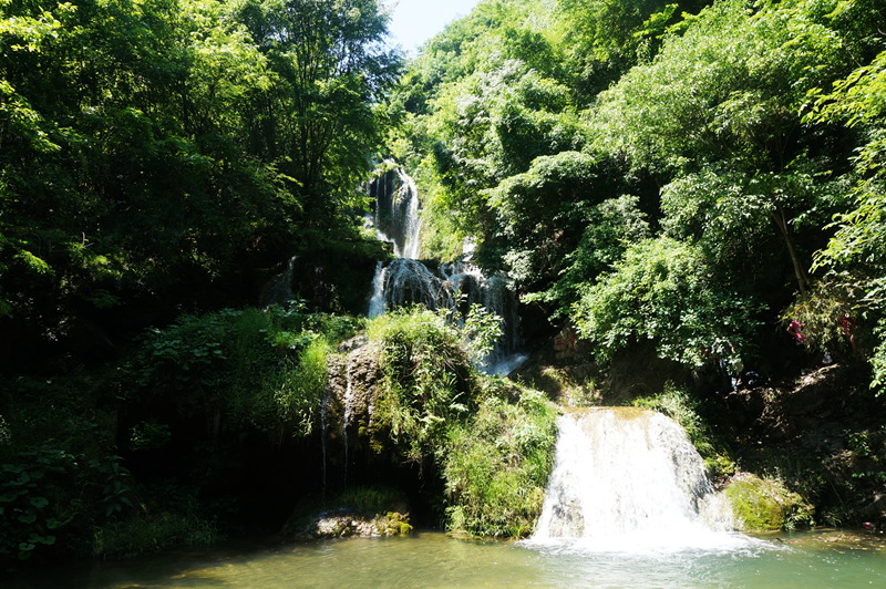 dsc02260_.jpg