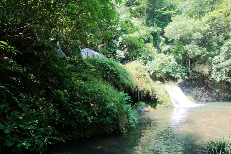 dsc02264_.jpg