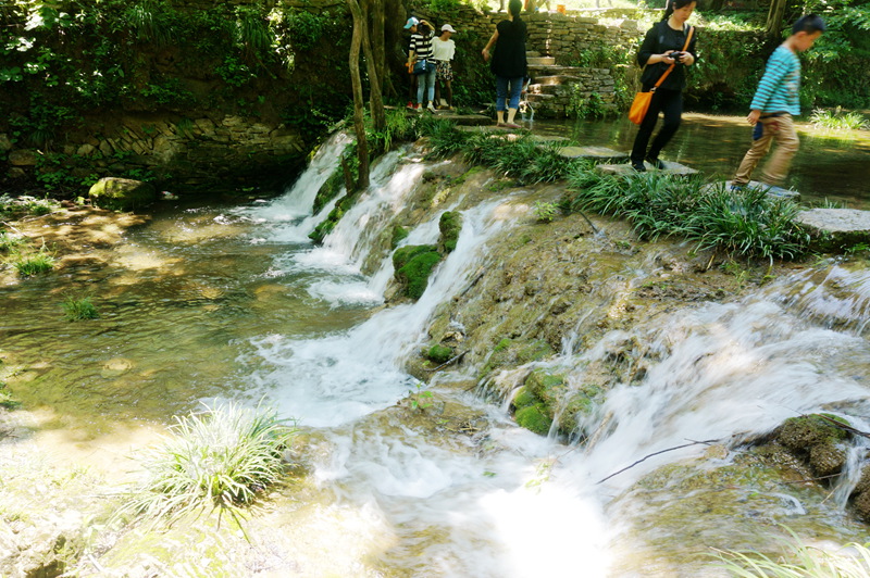 dsc02269_.jpg
