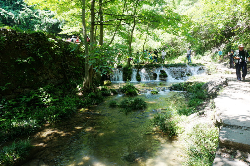 dsc02271_.jpg