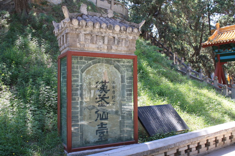 p1190383_.jpg