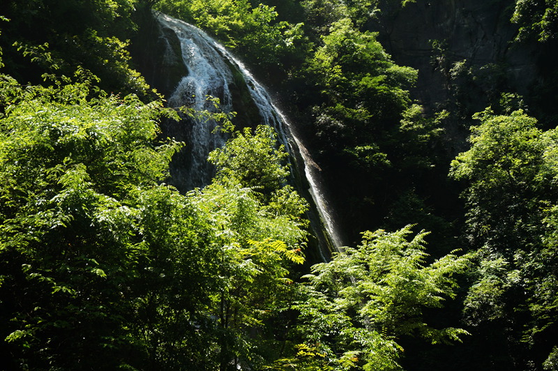 dsc02285_.jpg