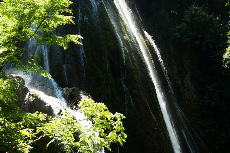 dsc02286_.jpg