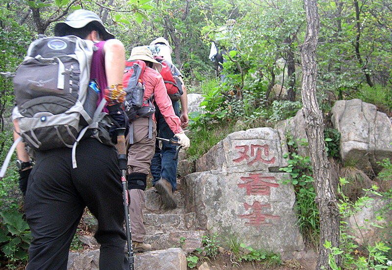 img_2626_1.jpg