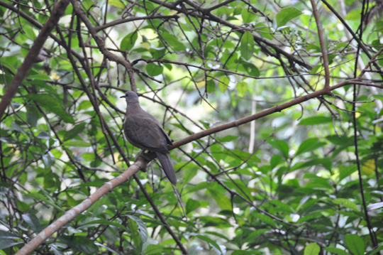 dsc_0084.jpg