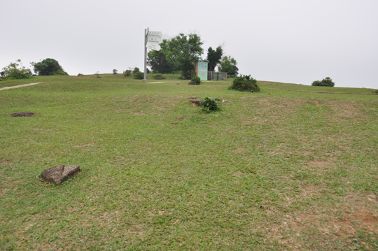dsc_0089.jpg