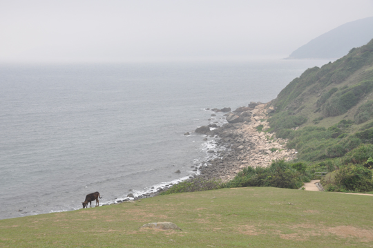 dsc_0096.jpg