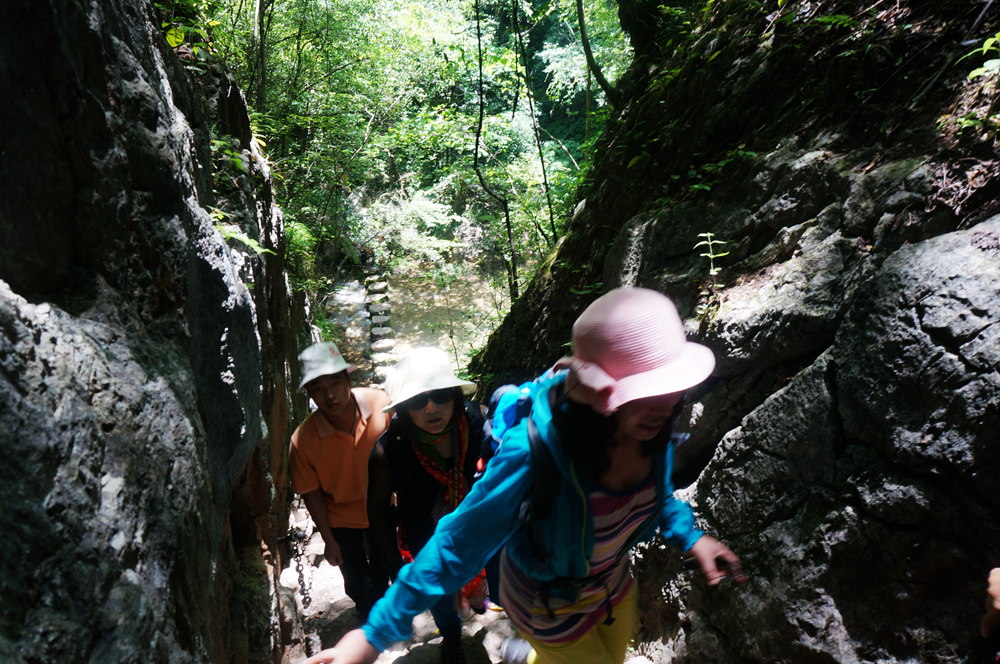 dsc02317_.jpg