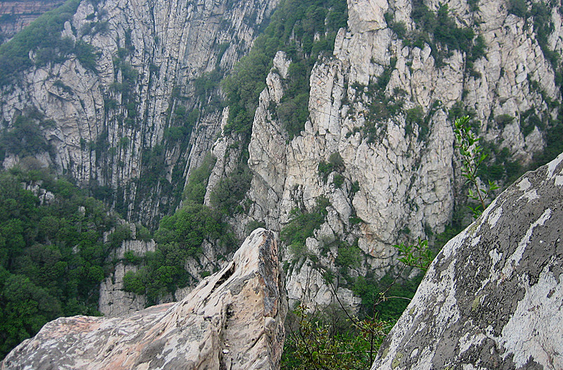 img_2546_1.jpg