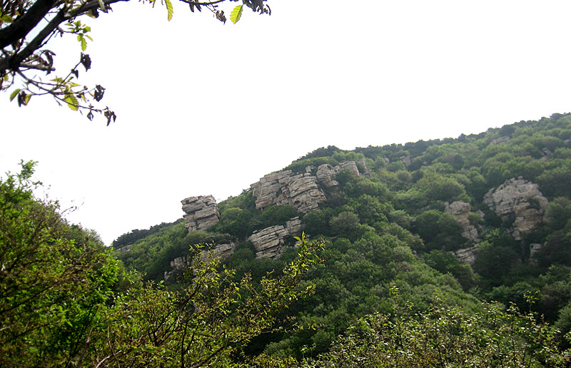 img_2627_1.jpg