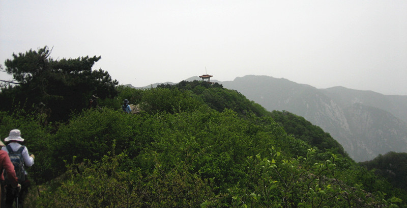 img_2685_1.jpg