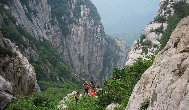 img_2494_1.jpg