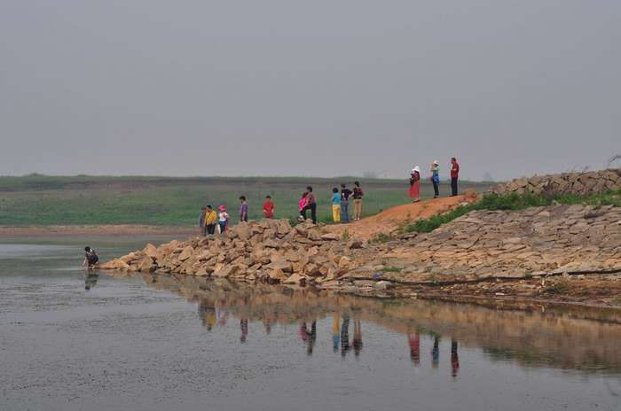 dsc_0071.jpg