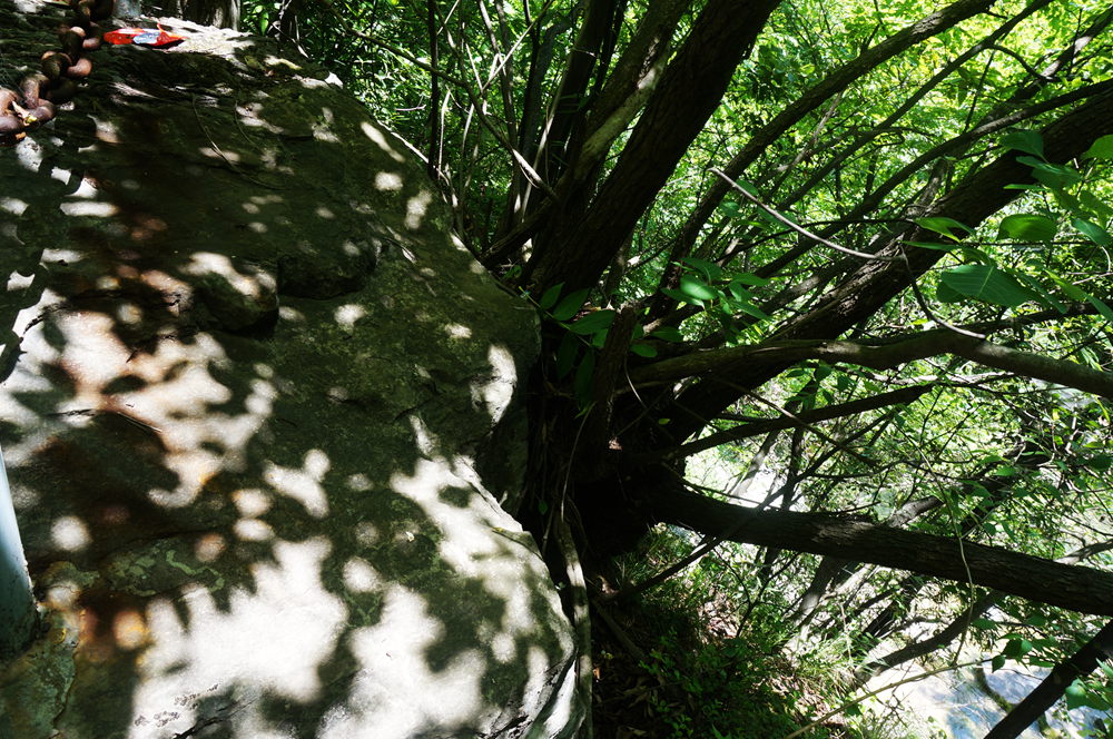 dsc02300_.jpg