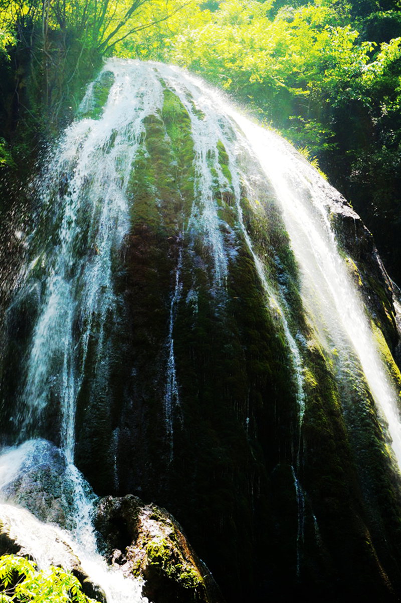 dsc02290__.jpg