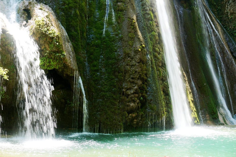 dsc02291_.jpg