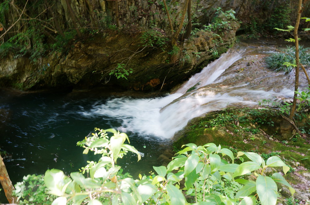 dsc02296_.jpg