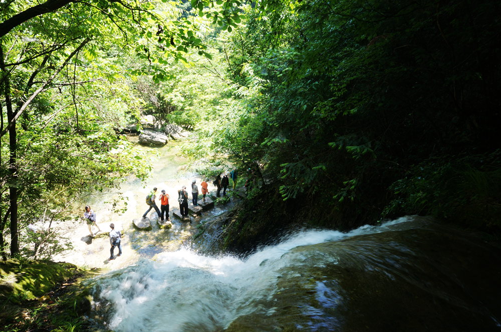dsc02297_.jpg