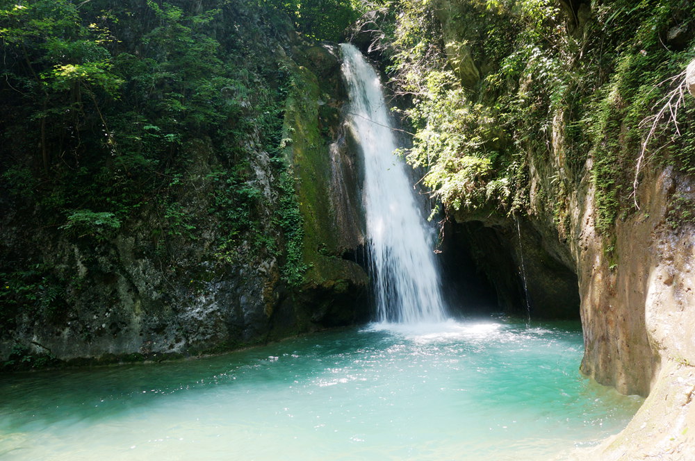 dsc02318_.jpg