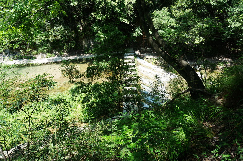 dsc02347_.jpg