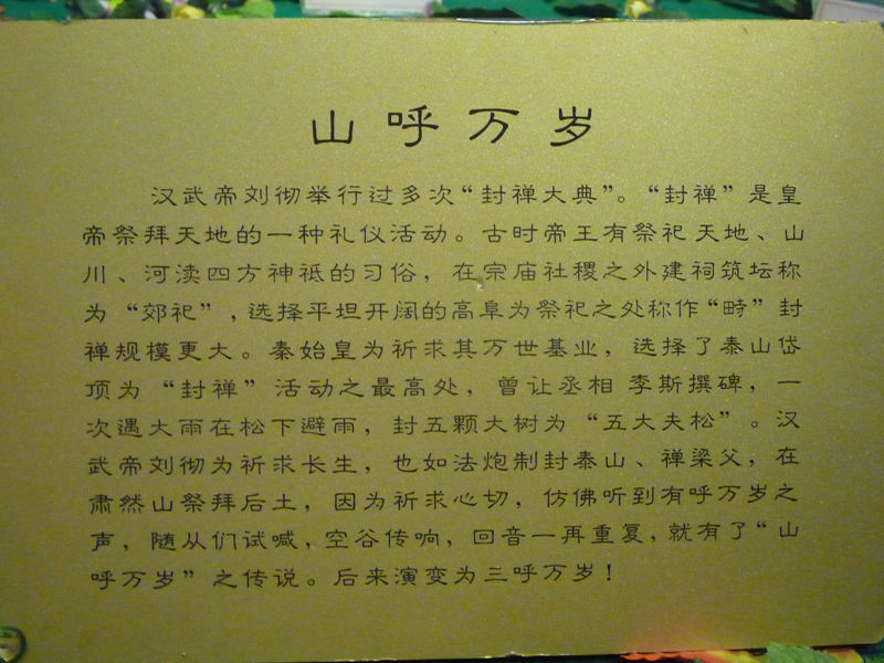 p1190383_.jpg