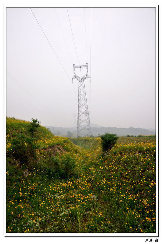 ˫Żɽ羰 (15).jpg