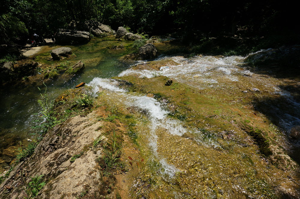 dsc02304_.jpg