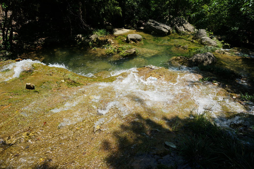 dsc02308_.jpg