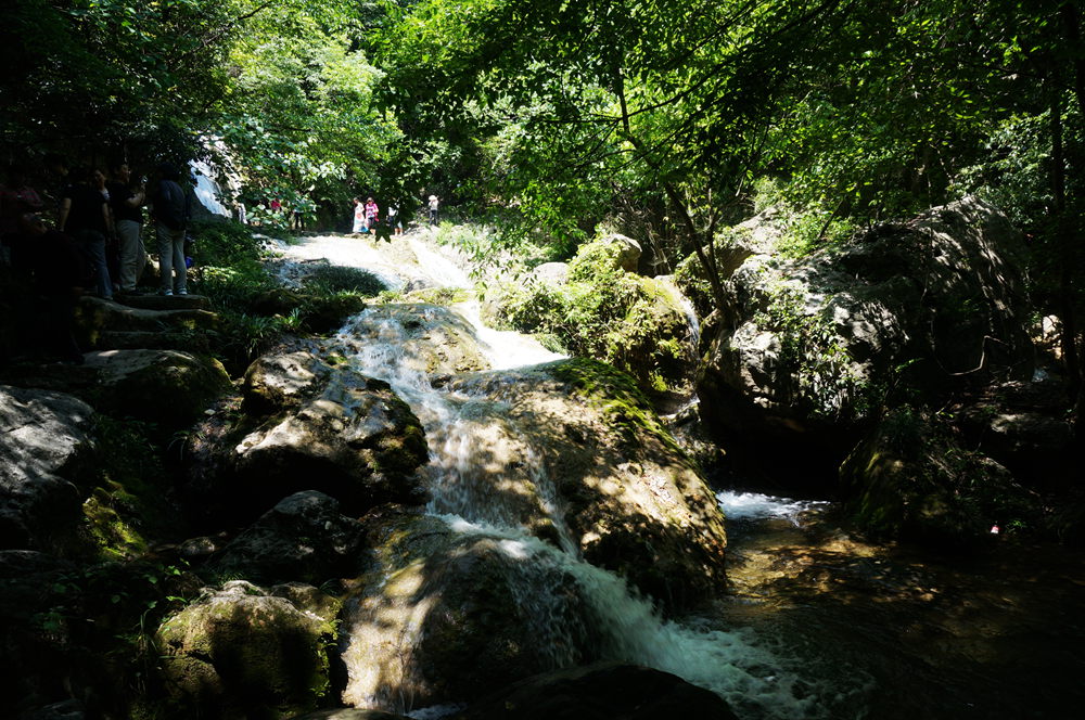 dsc02309_.jpg