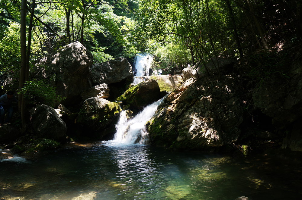 dsc02314_.jpg