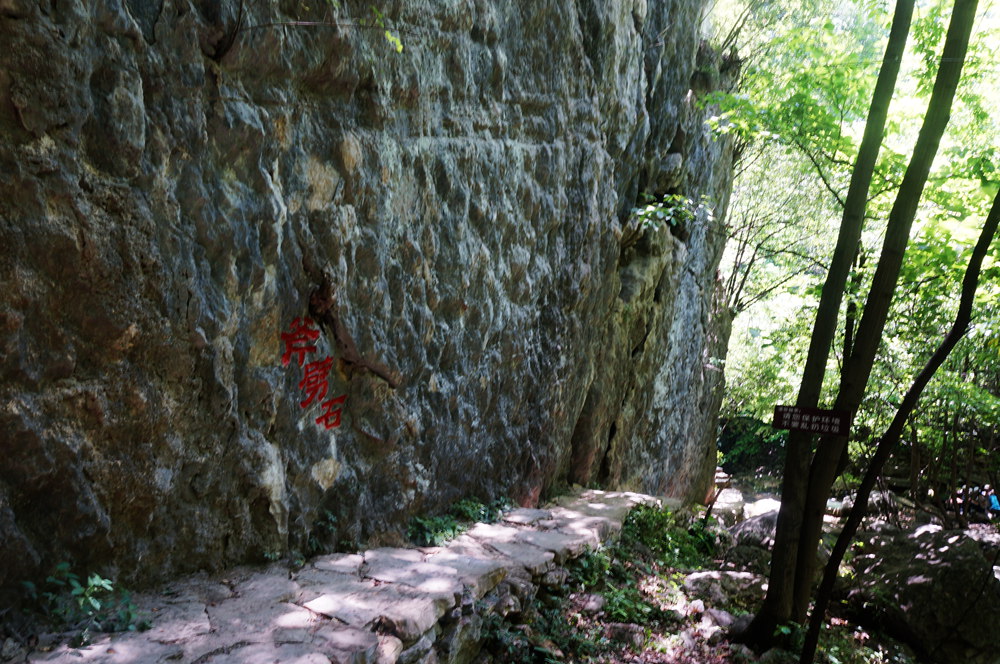 dsc02315_.jpg