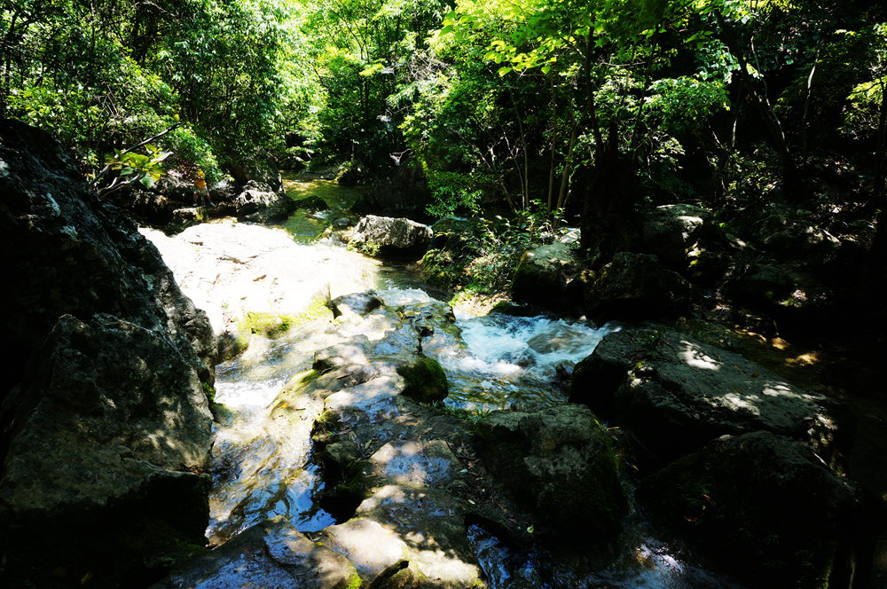 dsc02332_.jpg