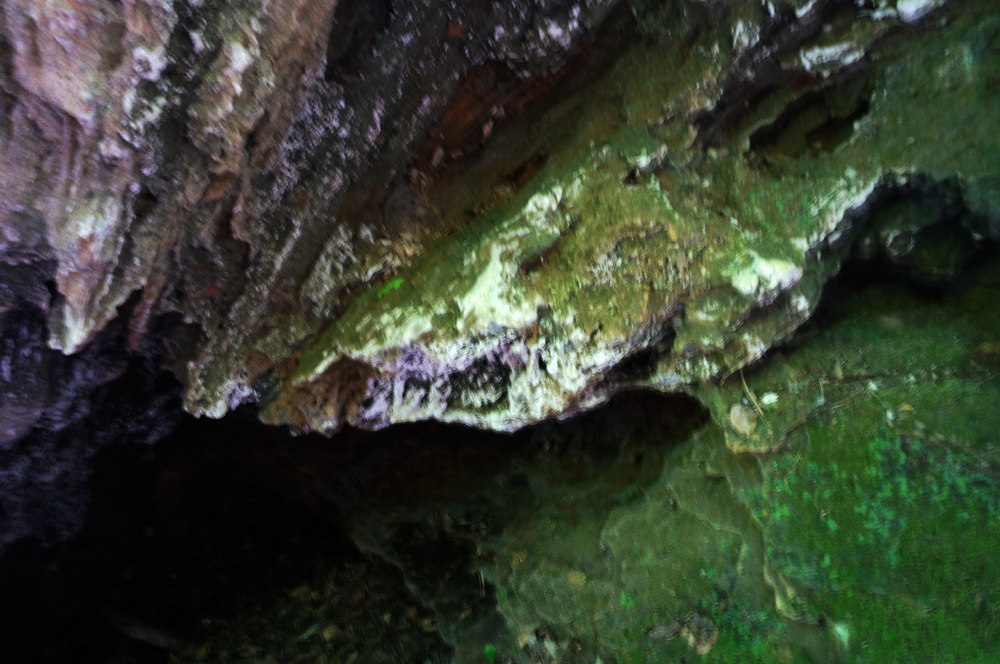 dsc02346_.jpg