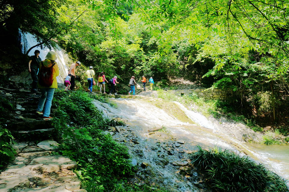 dsc02336_.jpg