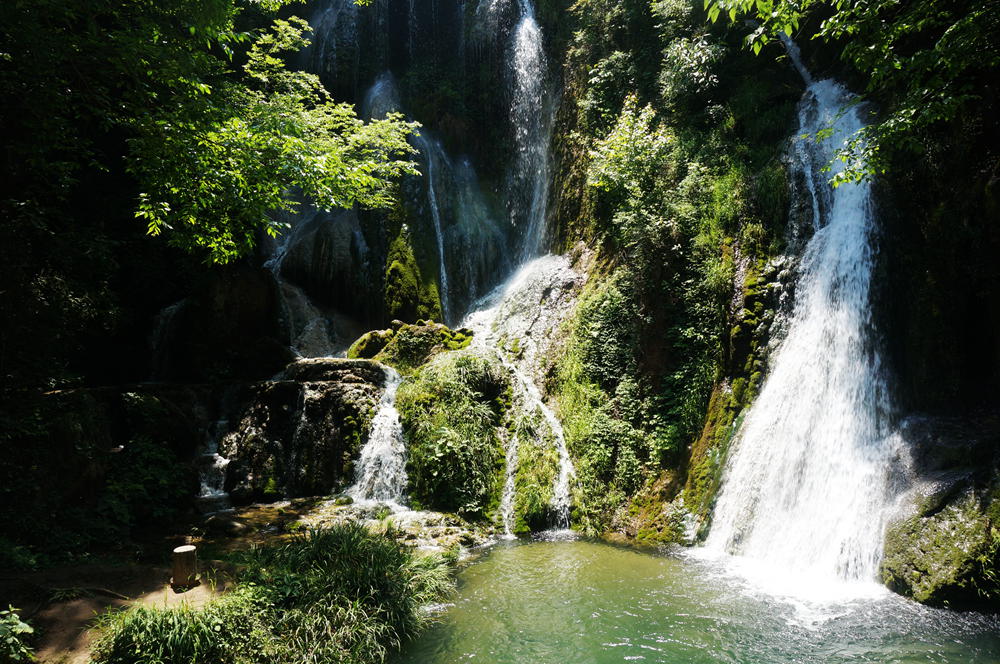 dsc02352_.jpg