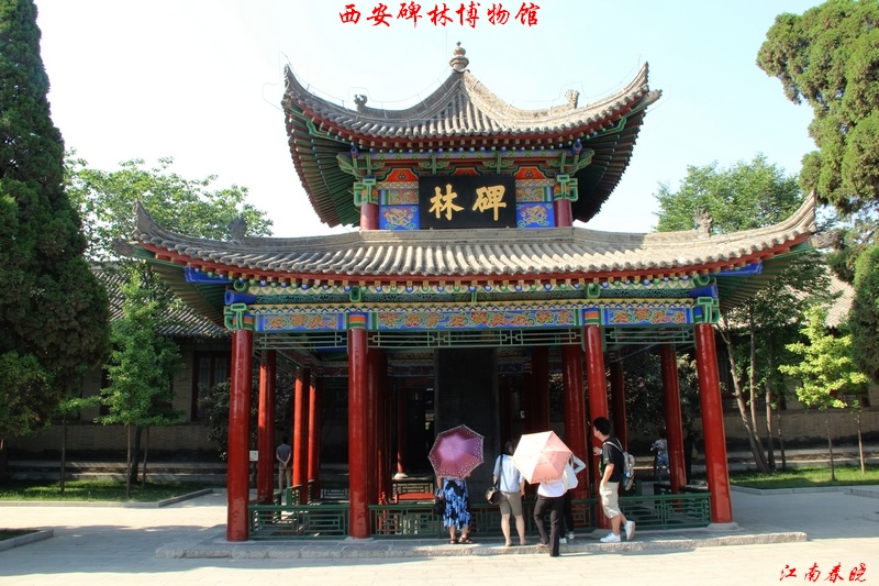 neo_img_ 930.jpg