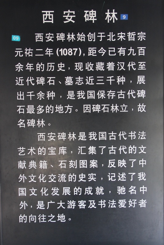neo_img_ 931.jpg