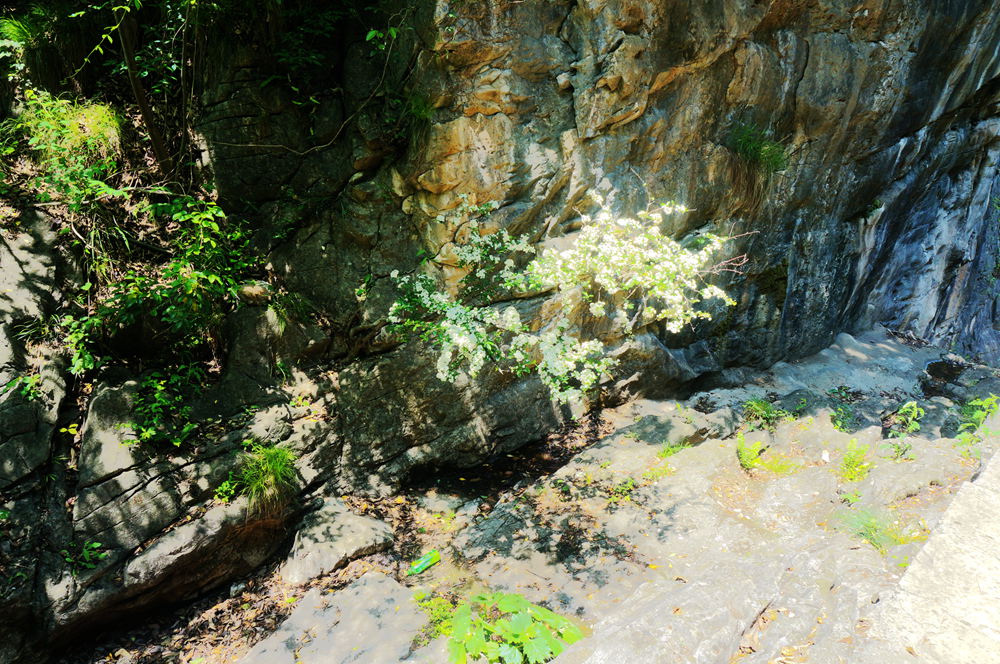 dsc02367_.jpg
