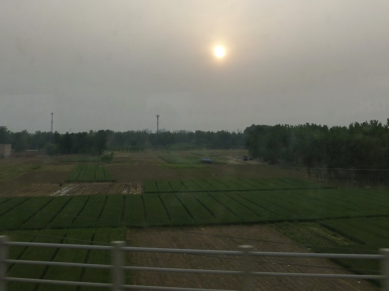 p1080031.jpg