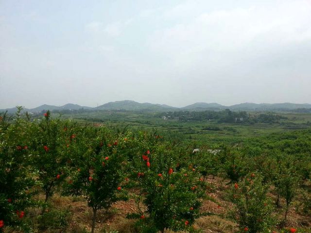 qqͼƬ20130527173657.jpg