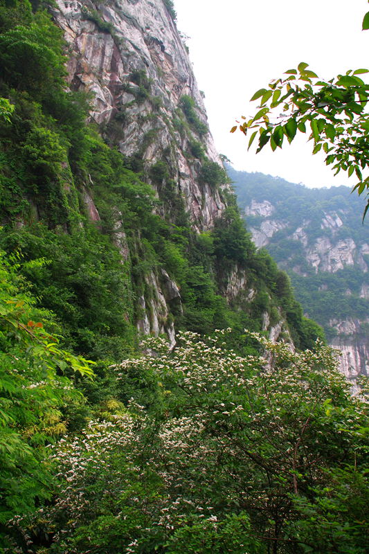 img_2554.jpg