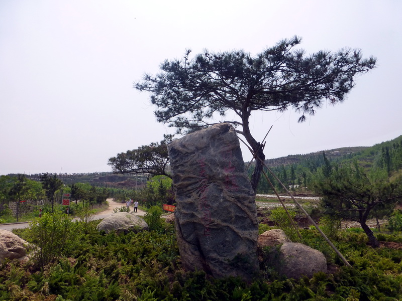 p1070533.jpg