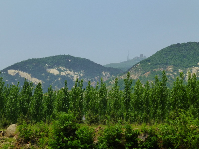 p1070540.jpg