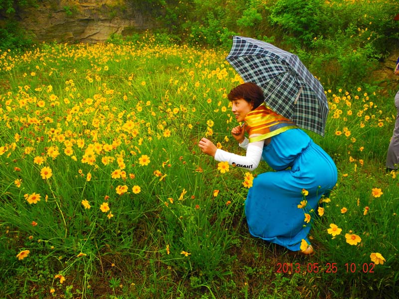 dscn9072.jpg