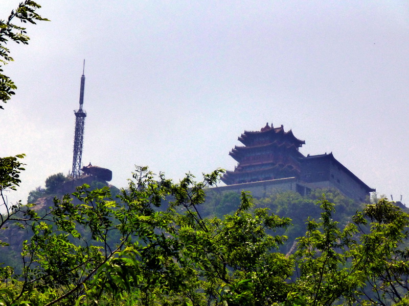 p1070609.jpg