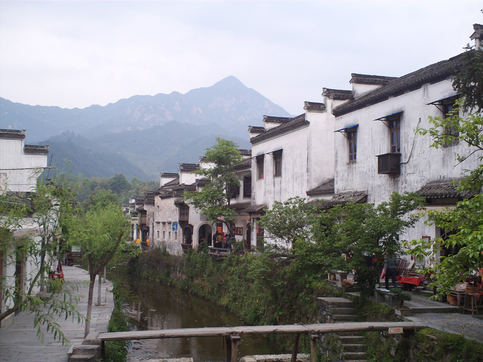 file0113.jpg